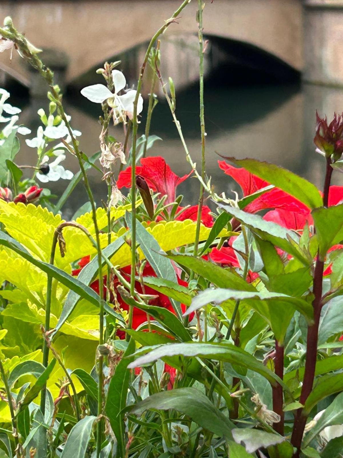 Les Hortensias Fortschwihr Exteriér fotografie