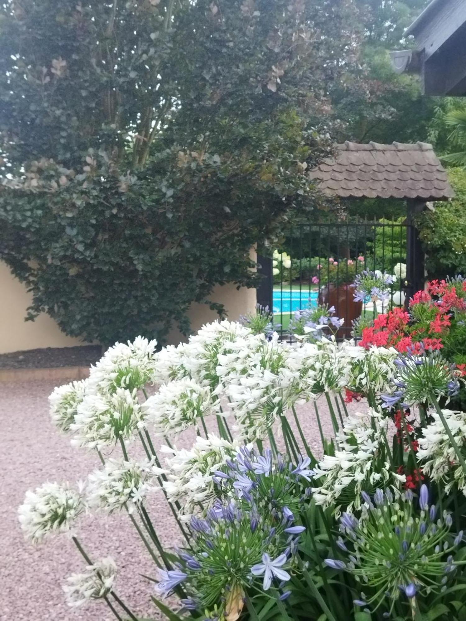 Les Hortensias Fortschwihr Exteriér fotografie